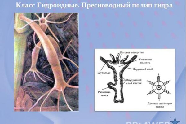 Кракен сайт супернет зеркало