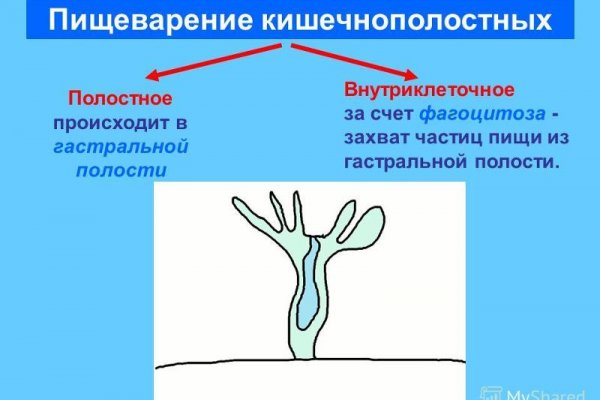 Кракен нарко