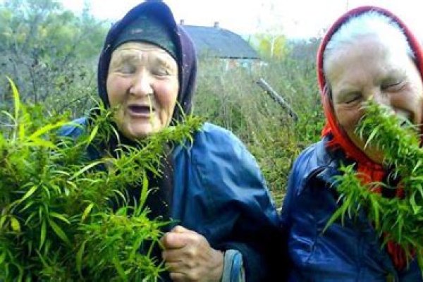 Что продает кракен