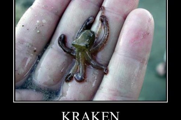 Kraken зеркала маркетплейс