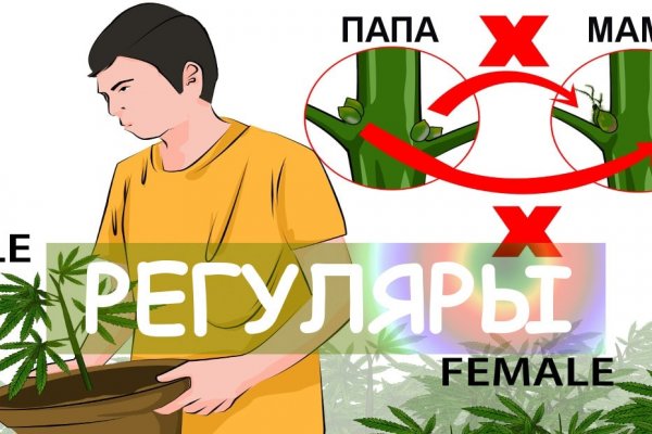 Kraken 2025 ссылка