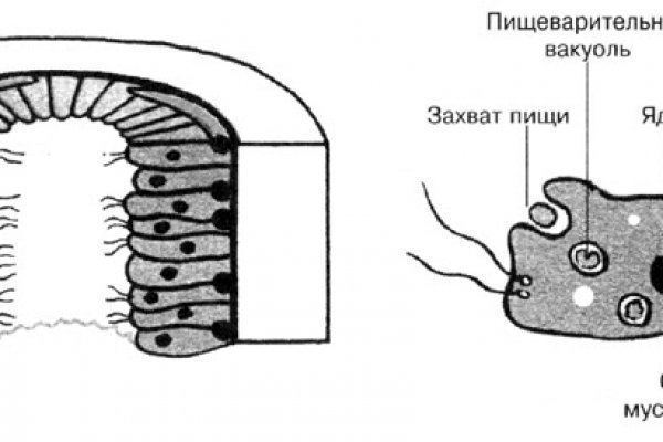 Актуальные ссылки кракен на 2025
