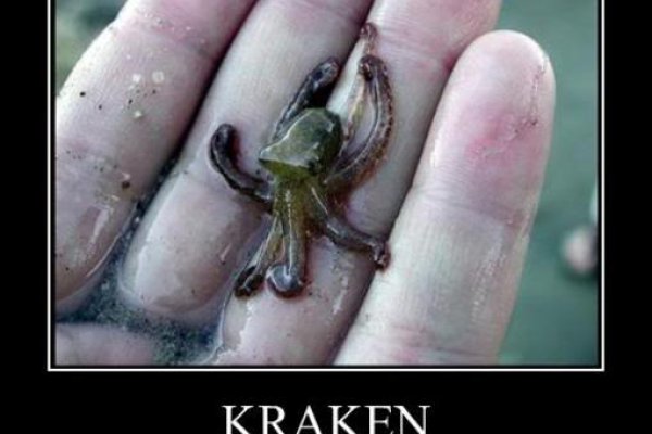 Kraken 21at