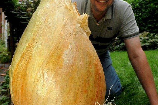 Кракен ссылка на рабочее зеркало