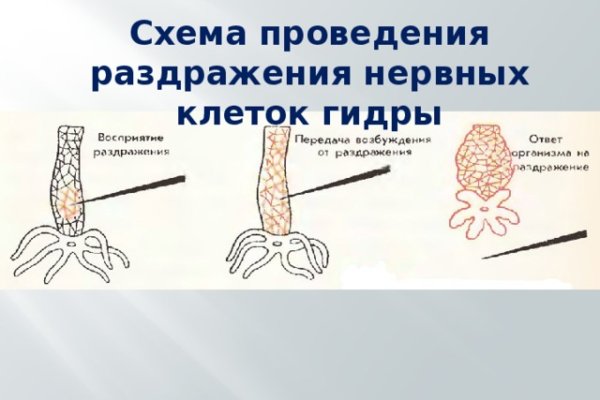 Восстановить аккаунт кракен
