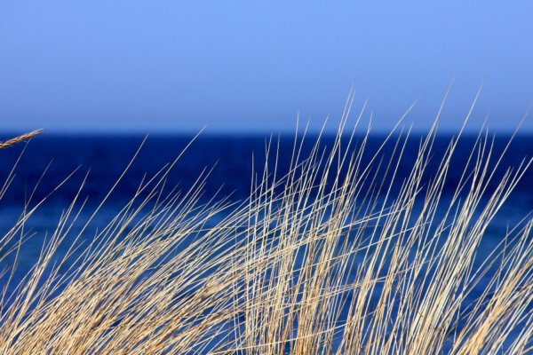 Ссылка кракен kr2web in