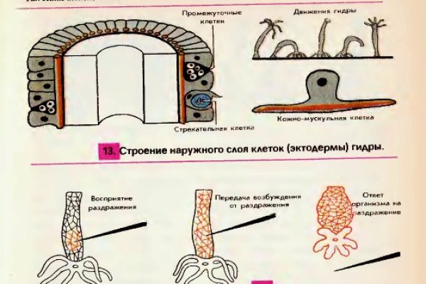 Кракен не работает сайт