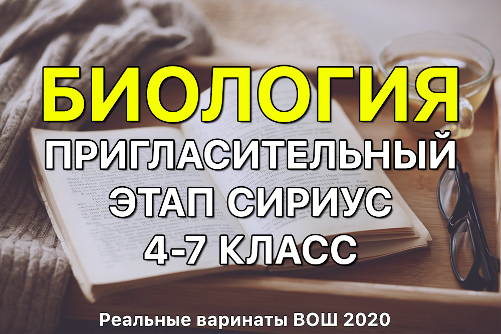 Ссылка на кракен супернет